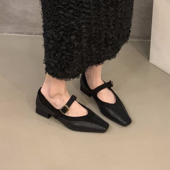 Sharp Pointed Niche Versatile Thick Heel Splicing Black Commuting Single Shoe Women's Spring Autumn French Mary Jane_vogvips.com