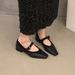 Sharp Pointed Niche Versatile Thick Heel Splicing Black Commuting Single Shoe Women's Spring Autumn French Mary Jane_vogvips.com