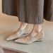 Gentle Style~2026 New Spring French Pointed Toe Mary Jane With Strap, Wedge High Heels, Women's Single Shoes_vogvips.com