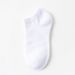 Men's Spring And Summer Mid-tube Socks Absorbent Breathable Business Mid-tube Men's Socks_vogvips.com