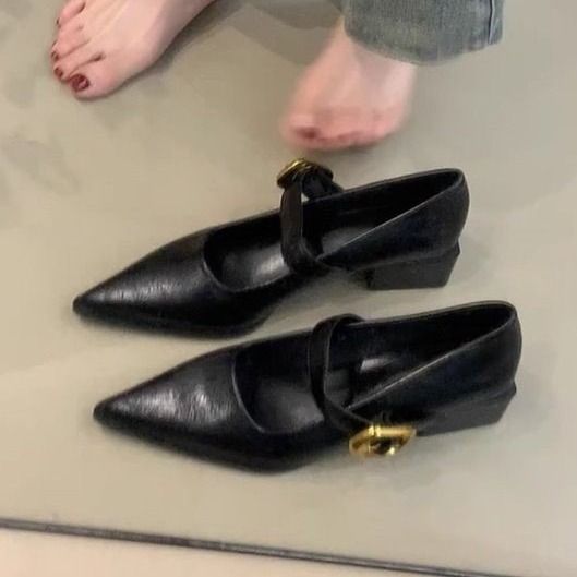 Pointed Mary Jane Shoes Women's Versatile, Comfortable And Beyond Thick Heel With Shallow Mouth Fashion Shoes_vogvips.com