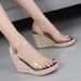 Women's Shoes Summer New Wedge Thick Bottom High Heel Sandals Women's High Heel Glass Glue Straw Braided Rope Bottom Large Size_vogvips.com
