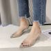 Large 2025 Summer Women's Water Diamond Perspective Sexy High Heel Sandals_vogvips.com