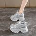 Dad Shoes For Women, Autumn Breathable Mesh Shoes, Women's Korean Version Versatile Thick-Soled Height-Increasing Casual_vogvips.com