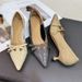 Pointed-toe High-heeled Women, Spring 2025 New Model, European American Style, With Buckle Strap, Versatile Stiletto_vogvips.com