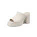 Peep Toe Thick Sole One-Strap Women's Fashion Outdoor Chunky Sandals 2024 New Summer High Heel Waterproof Platform_vogvips.com