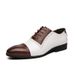 Euro Step Large Brogue Business Men's Color Block Pointed Toe British Leather Wedding Shoes Size 38-48_vogvips.com