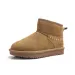 Tasman Tazz Slippers Australia Designer Snow Boots Classic Ultra Mini Platform Boot Suede Wool Winter Shoes Men Women_vogvips.com