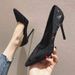 High Pointed Toe 2025 New Spring And Autumn All-match Sexy Thin Heels Shallow Mouth Single Black Work Shoes Women_vogvips.com