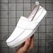 Youth And Fashionable Men's Canvas Shoes Breathable And Casual Classic Versatile Soft And Comfortable Low-top Doudou Shoes_vogvips.com