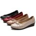 2025 Single Thick Heel Square Toe Loafers Spring And Autumn Women's Plastic Mid-Heel Shoes Summer Fashion Casual_vogvips.com