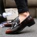 TerraStride Spring New 2025 Outdoor Shiny Pointed Toe Formal Slip-On Loafers Business Leather Casual Men's Shoes_vogvips.com