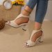 Chunky Heel Plus Size Sandals For Women Summer New European And American Fashion Back Zipper Cross-Border Open Toe High_vogvips.com
