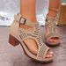 Wholesale 2026 Foreign Trade Summer Women's High-heeled Sandals Cross-border Large Size Fish Mouth Thick Heel Outer Wear Hollow High-heeled Sandals_vogvips.com