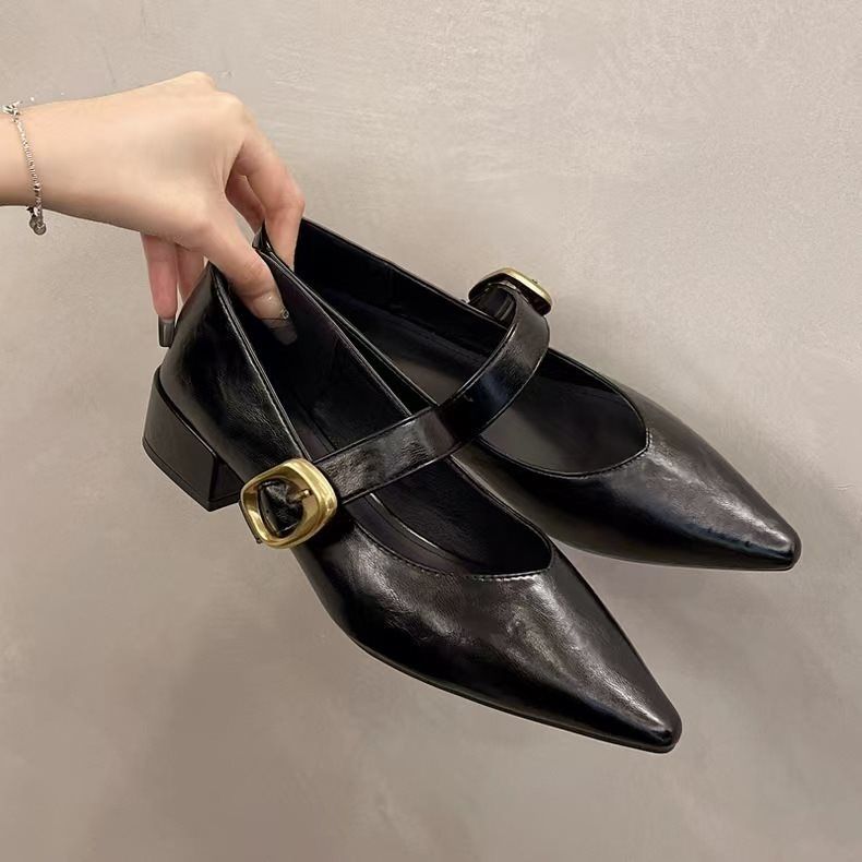 New Soft Leather French-style Soft-soled Elegant Low-heel 2025 Mary Jane Women's Shoes With Pointed Toe And Chunky Heel,_vogvips.com