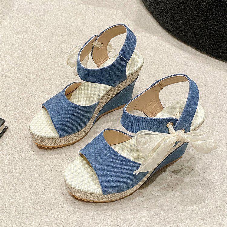New Long Ter Woen's Sandals With Slope Heel Lace Fish Mouth Feale Velcro One Line Buckle And Elastic Cake Thick_vogvips.com