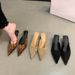 Leopard Print Kitten Heel Elegant French Style Closed-Toe Mules Women's Shoes For Outdoor Wear 2024 Autumn New Pointed_vogvips.com