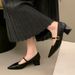 Vintage French Single Shoes Women's Fashion Pointed Middle Heel Mary Jane Women's Shoes Thick Heel Spring High Heels_vogvips.com
