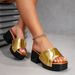 2026 New Model Foreign Trade Summer High-Heeled Shoes Cross-Border Large Size Chunky Heel Fashion Casual Women's Sandals_vogvips.com