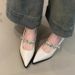 MTX Sheepskin Version~French Pointed Toe Mary Jane Women's Shoes Elegant Metal Buckle One Strap Chunky Heel Pumps Shallow_vogvips.com