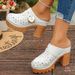 Cross-Border Foreign Trade European And American Style Summer New Fashion Outdoor Closed-Toe Chunky Heel Non-Slip_vogvips.com