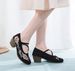 High Square Single Thick Heels, Women's Embroidered Cloth Mary Jane Dance Shoes, Ladies Shoes_vogvips.com