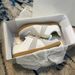 popular 2026 High Version German Training Shoes For Women, White Sneakers, Women's 2025 New Spring And Autumn Flat Versatile Cas Women, Sne_vogvips.com