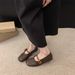 Soft-soled Mary Jane With Round Toe And Shallow Cut, 2026 Spring New Model, Versatile For Commuting, Single-strap Flat_vogvips.com