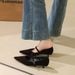 2388 Korean Style High-End Suede Elegant Pointed Toe Shallow Mouth One-Strap Low Heel Wo's Office Single Shoes For_vogvips.com