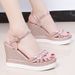 Wedge 2023 Summer Roman Sandals Fairy Style New Fashion High Heel Thick Sole Comfortable Height Increasing Lightweight_vogvips.com