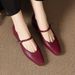 Cameido French Vintage Square Toe Versatile Shallow Square Heel Shoes For Women, 2025 Autumn Mary Jane Style With Ankle Strap_vogvips.com