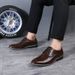 TerraStride Spring And Autumn Business Formal Leather Large Size Korean Style Pointed Toe Fashion Versatile Casual Men's Shoes_vogvips.com