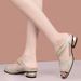 Chunky Heel Peep-Toe Sandals For Women 2025 Summer New Style Genuine Leather Mid-Heel Mesh Rhinestone Fashionable Outdoor Sandals For Women_vogvips.com