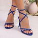 European And American Fashion Pointed Toe Roman Cross Strap Versatile High Heel Sandals Factory Direct Sale Foreign_vogvips.com