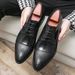 TerraStride Spliced Pointed Leather Large Size Business Casual Formal British Style Derby Men's Shoes_vogvips.com