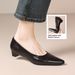 Cameido Women's Pointed Toe Chunky Heel Dress Shoes For Spring_vogvips.com