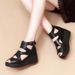 Sandals Women's High Heels Muffin Thick-soled Cool Boots Wedge Heel Fish Mouth Women's Shoes Hollow Roman Shoes_vogvips.com