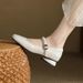 2025 Autumn New Square Toe Buckle With Mary Jane Feminine Temperament, Small Leather Shoes, Fashionable_vogvips.com