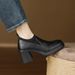 Women's Shoes Leather Single Shoes, New Autumn Style, High Heels, British Style, Matching Skirts, Chunky Heel Leather Shoes._vogvips.com