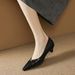 Cameido Women's Spring Pointed Toe Chunky Heel Commuting Dress Shoes With Comfortable Lining_vogvips.com
