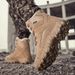 Winter Velvet Cotton Boots For Couples, Outdoor Special Forces Combat Training Boots, Mid Top Field Boots_vogvips.com