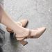 Women's Semi-enclosed Sandals In Fairy Style, 2026 New Model, Suitable For Pairing With Skirts, Summer Chunky Heel,_vogvips.com