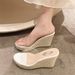 Summer 2025 Slippers PVC Transparent Peep Toe Platform Wedges Slippers Sandals Women Fashion High Heels Female Shoes 10cm Gold_vogvips.com