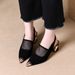 2026 Summer New Model Foreign Trade Niche Light Luxury Chunky Heel Pointed Toe Mesh Open Back Fashion Sandals For_vogvips.com