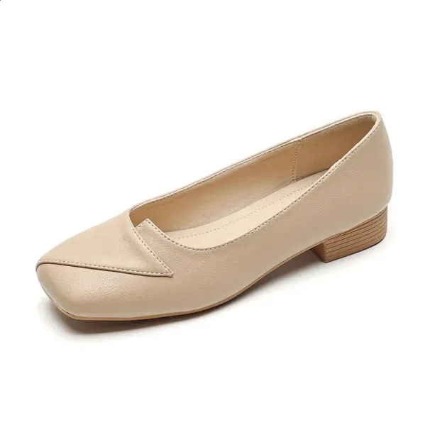 spring Autumn Womens Shoes Low Heels Korean Style Career And Party Wear Ladies Casual Mary Jane High Heel Free Shippin_vogvips.com