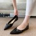 W828-83 Flat Single For Women 2025 New Spring French Style Pointed Toe Black Soft Sole Elegant Commuting Shoes_vogvips.com