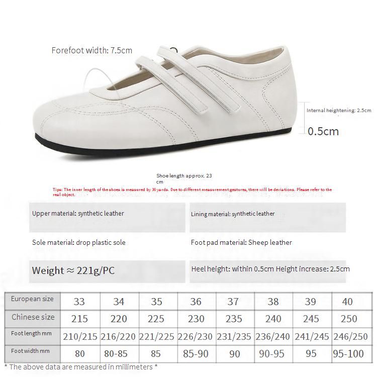 Cameido Ballet-inspired Mary Jane Shoes For Women, 2025 Autumn Leisure Shoes With Soft Sole, Adjustable Strap, And Hidden Heel_vogvips.com