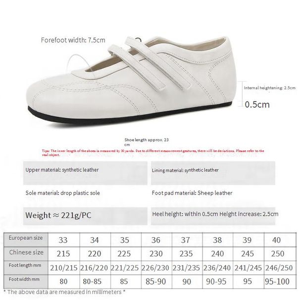 Cameido Ballet-inspired Mary Jane Shoes For Women, 2025 Autumn Leisure Shoes With Soft Sole, Adjustable Strap, And Hidden Heel_vogvips.com