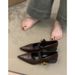 Pointed Mary Jane Shoes Women's Versatile, Comfortable And Beyond Thick Heel With Shallow Mouth Fashion Shoes_vogvips.com