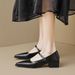 Square Head Single Shoes Women's Thick Heel With Retro New Chinese Style Mary Jane Shoes Shallow Mouth_vogvips.com